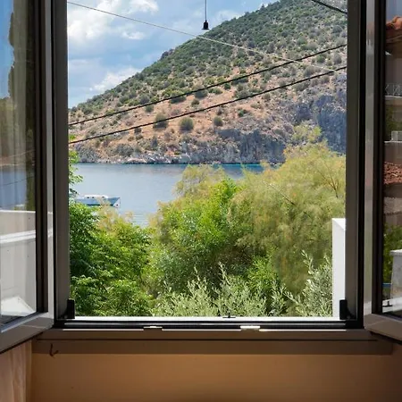 Casa Olive Tolón