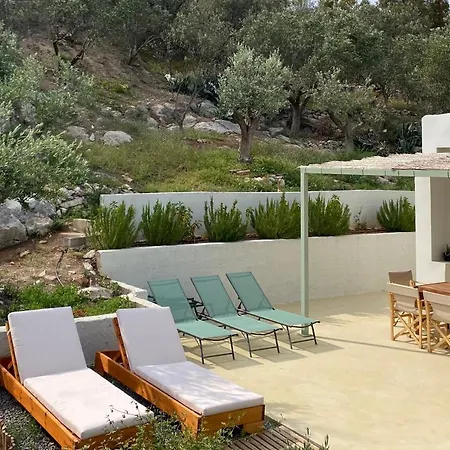Casa Olive Tolón
