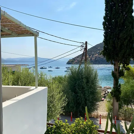 Villa Casa Olive