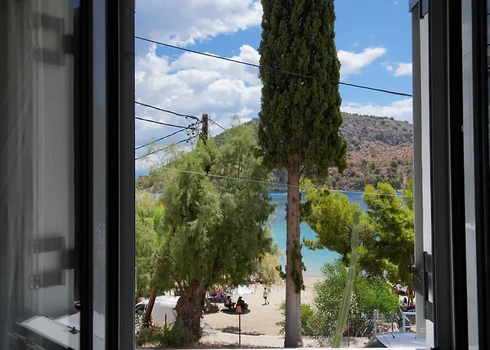 Casa Olive ヴィラ